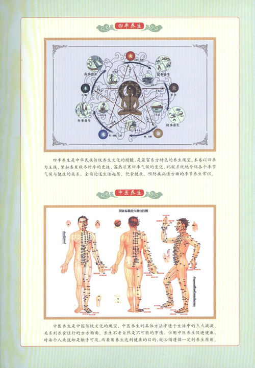 四季養生食療 中醫保健的智慧與妙方