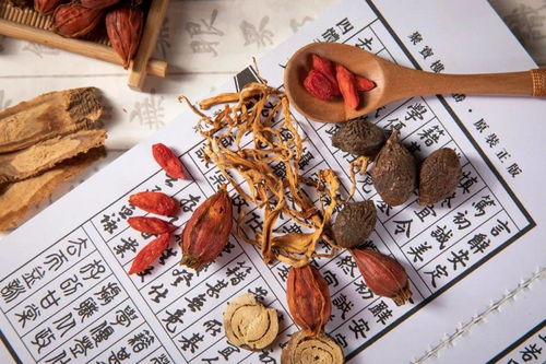 傳承國(guó)粹，養(yǎng)生新篇——2021深圳國(guó)際中醫(yī)藥及養(yǎng)生理療產(chǎn)品博覽會(huì)紀(jì)實(shí)